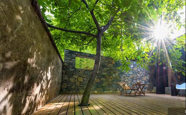 同信·愛家壹號|曾經江湖策馬，如今院里觀花！